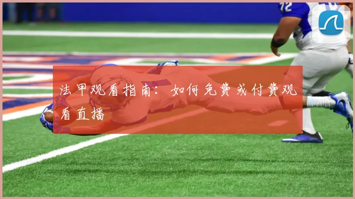 法甲观看指南：如何免费或付费观看直播